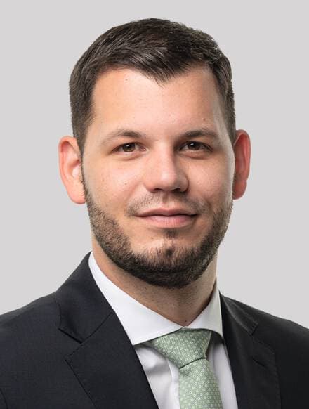 Dino Herzog