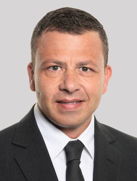 Domenico Martinelli
