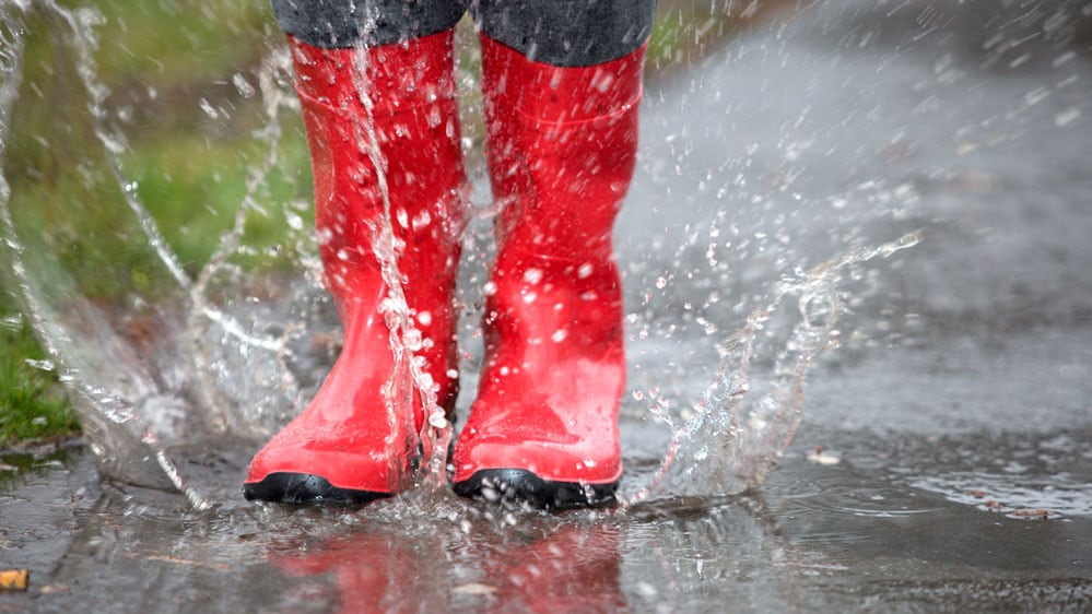 Nach dem Sturm ist vor dem Aufräumen | die Mobiliar