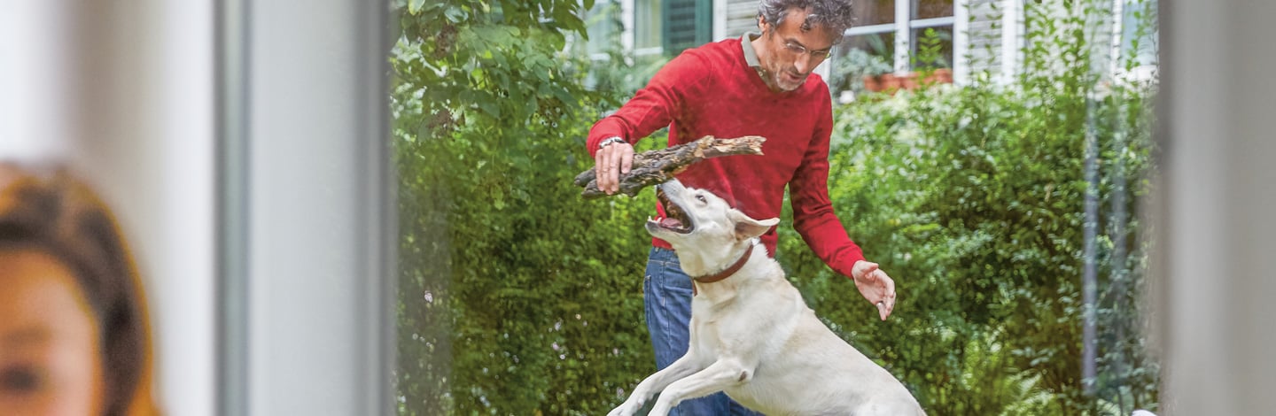 Haustierversicherung - Person mit Hund