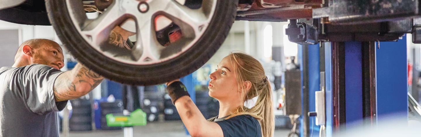 Marderschaden Am Auto Oder Am Haus Die Mobiliar