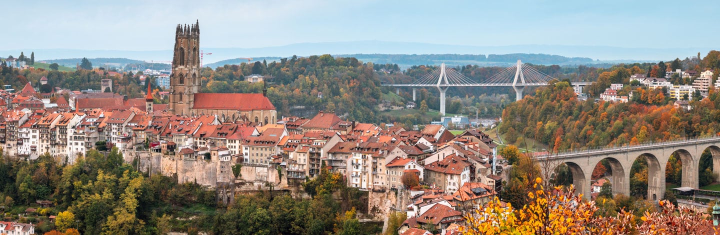 vue sur la centre-ville de Fribourg