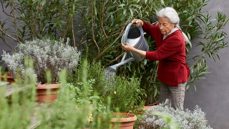 Consigli utili per il bottom watering